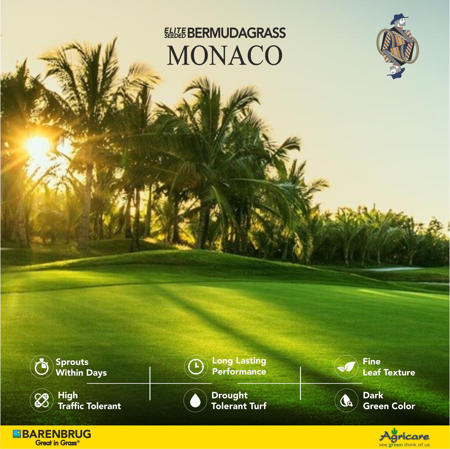 Fall color retention and late-season performance of Monaco turfgrass