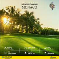 Fall color retention and late-season performance of Monaco turfgrass