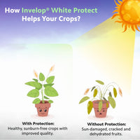 Invelop White Protect
