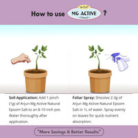 Arjun Mg Active