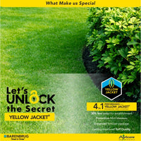Monaco - Elite Seeded Bermudagrass