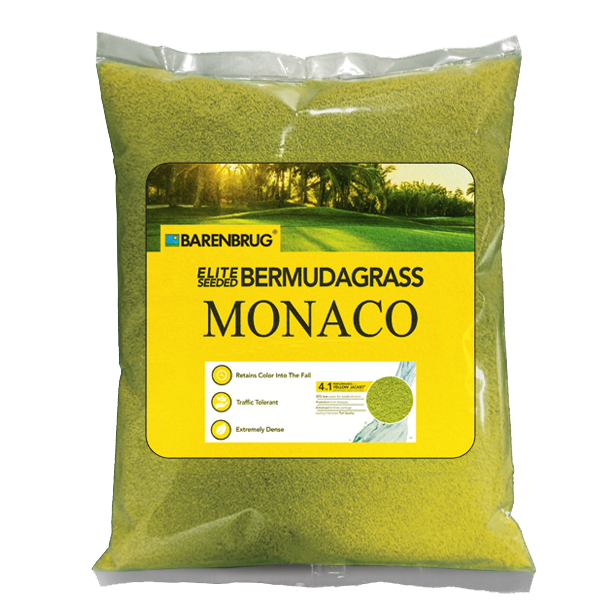 Monaco Elite Seeded Bermudagrass close-up showing 1 Lbs  Packet