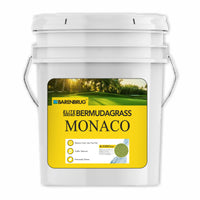 Monaco Elite Seeded Bermudagrass close-up showing bucket