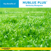 Advertisement for Nublue Plus Kentucky Bluegrass with key benefits listed.