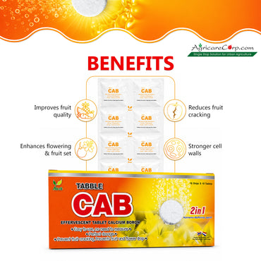 Nutri Tabble CAB benefits including improved fruit quality enhanced flowering stronger cell walls and reduced fruit cracking.