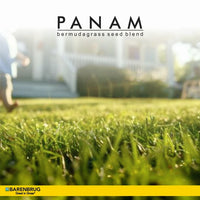 PanAm