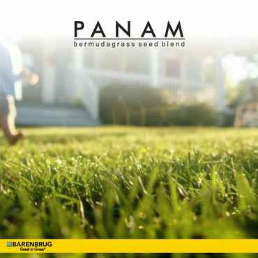 PanAm
