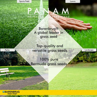 PanAm