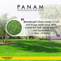 PanAm