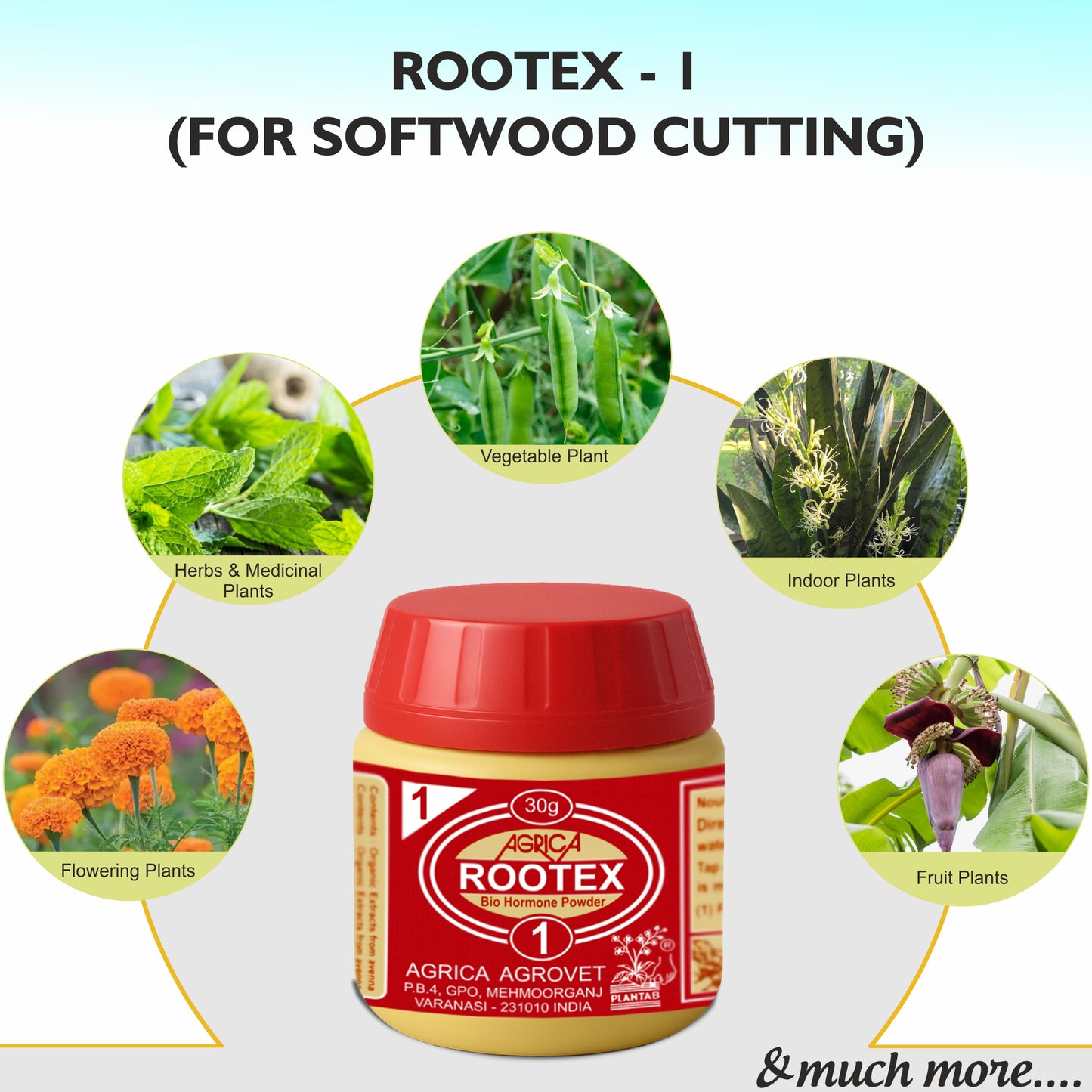 Rootex - 30g
