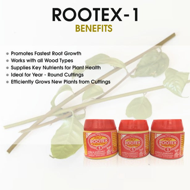 Rootex - 30g