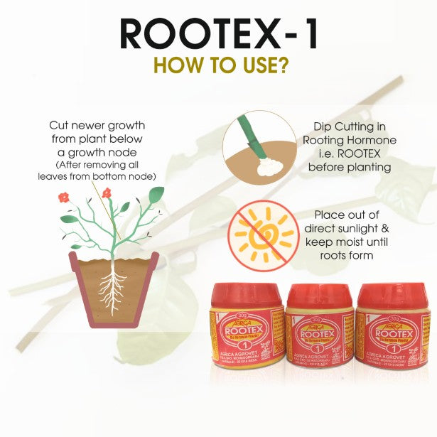 Rootex - 30g