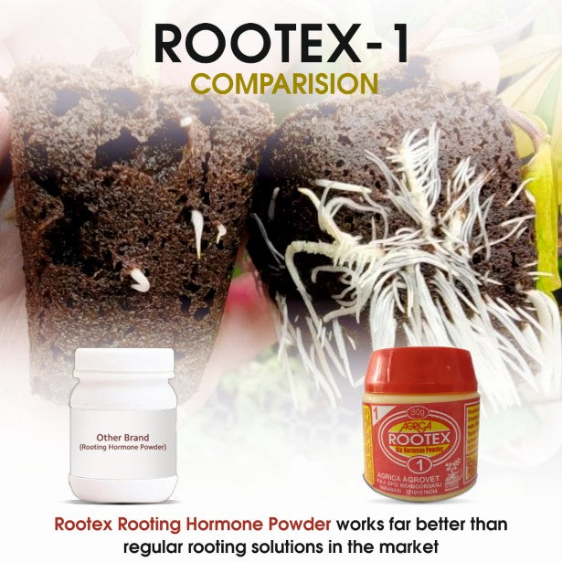 Rootex - 30g
