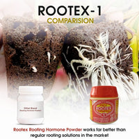 Rootex - 30g