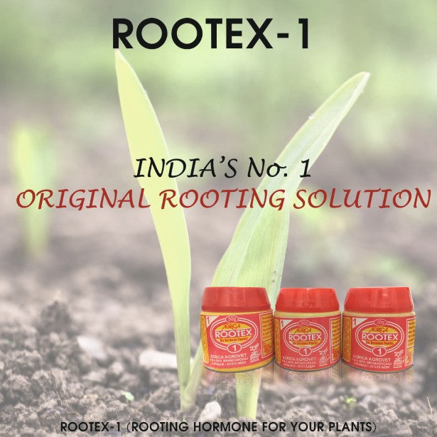 Rootex - 30g