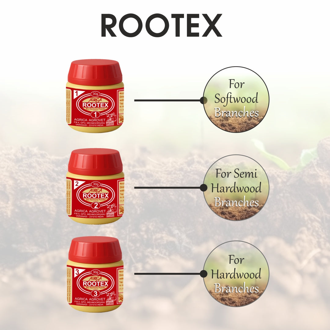 Rootex - 30g