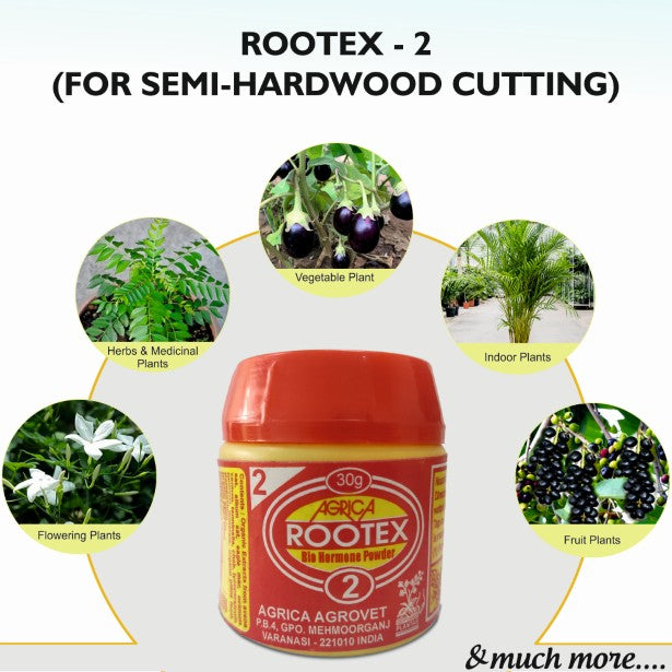 Rootex - 30g