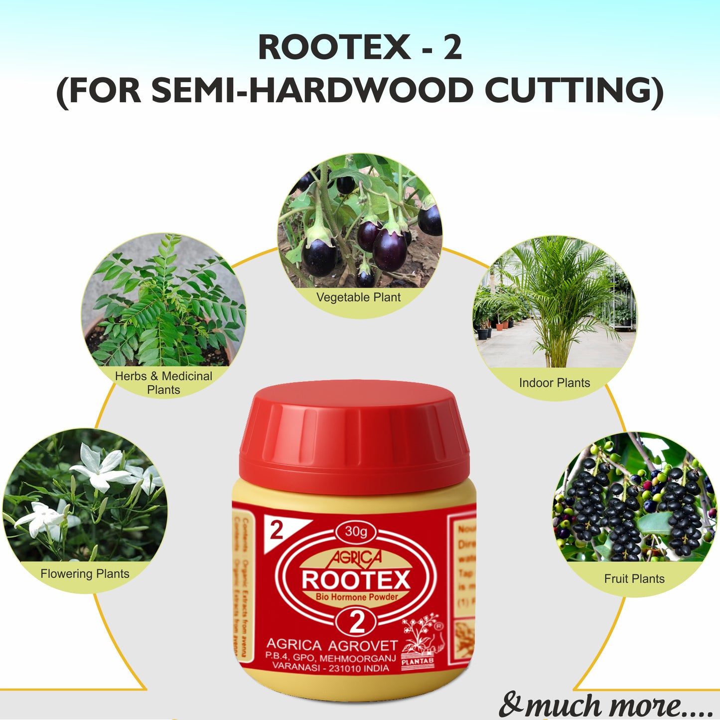 Rootex - 30g