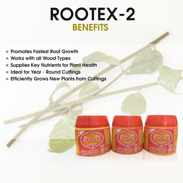 Rootex - 30g