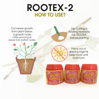 Rootex - 30g