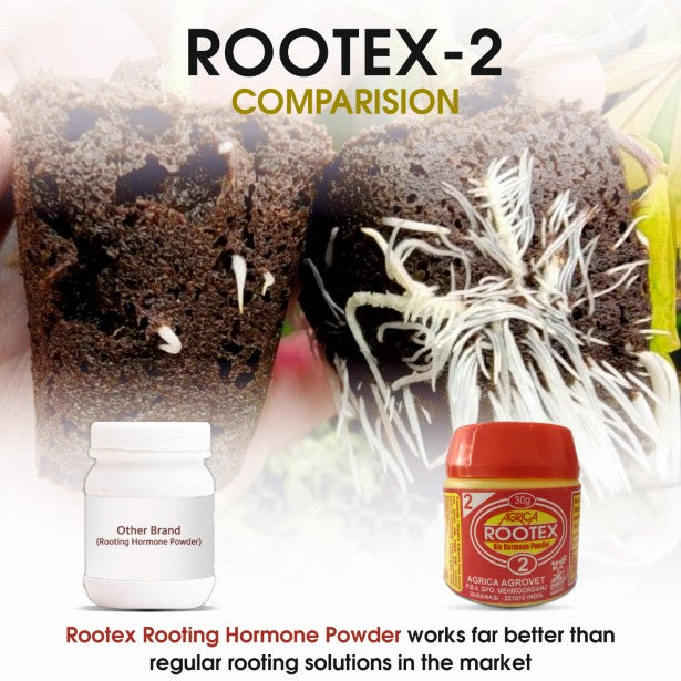 Rootex - 30g