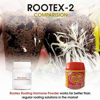 Rootex - 30g