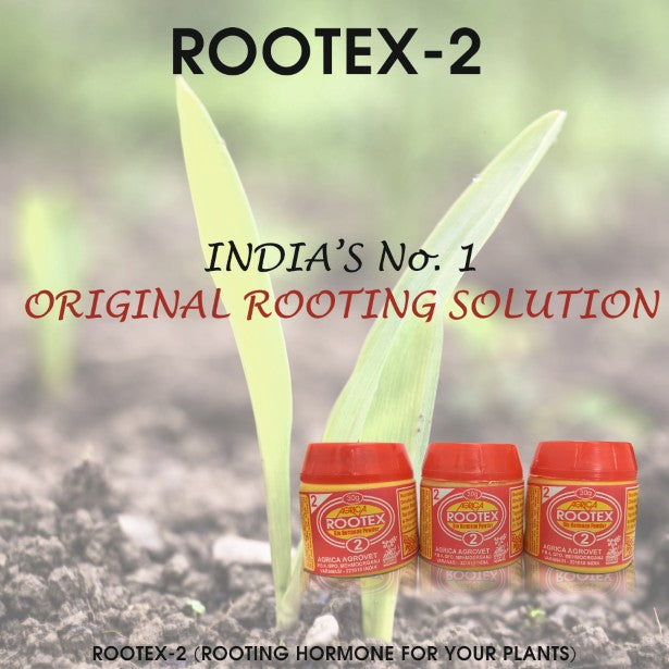 Rootex - 30g