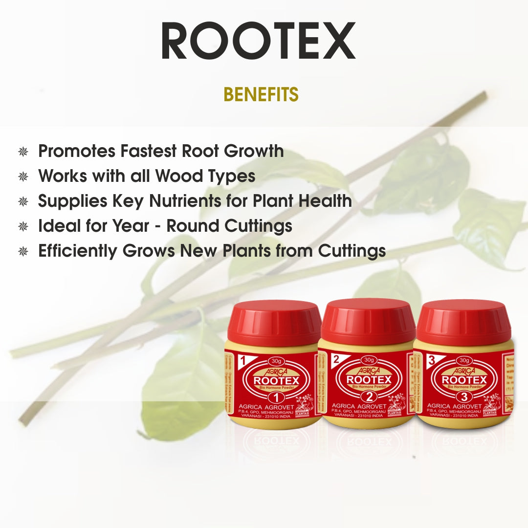Rootex - 30g