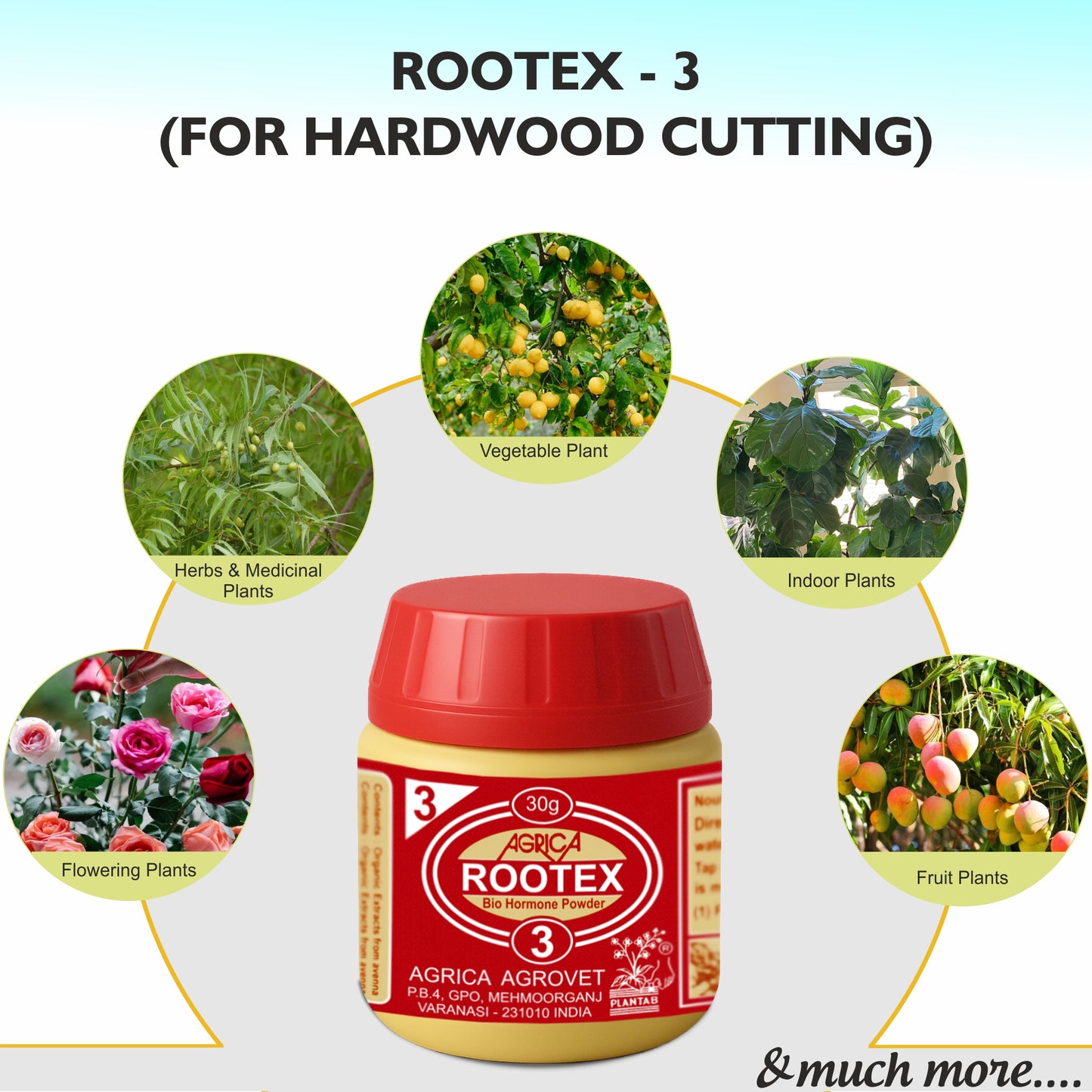Rootex - 30g