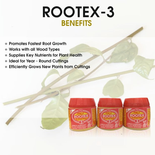 Rootex - 30g