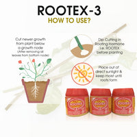 Rootex - 30g
