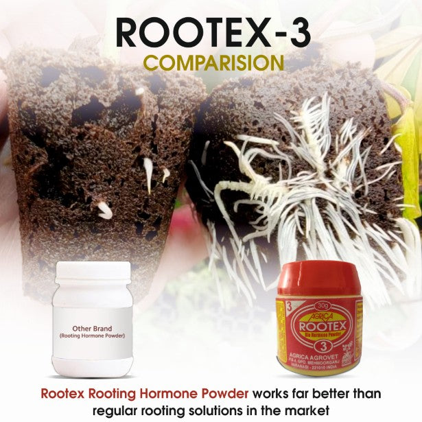 Rootex - 30g
