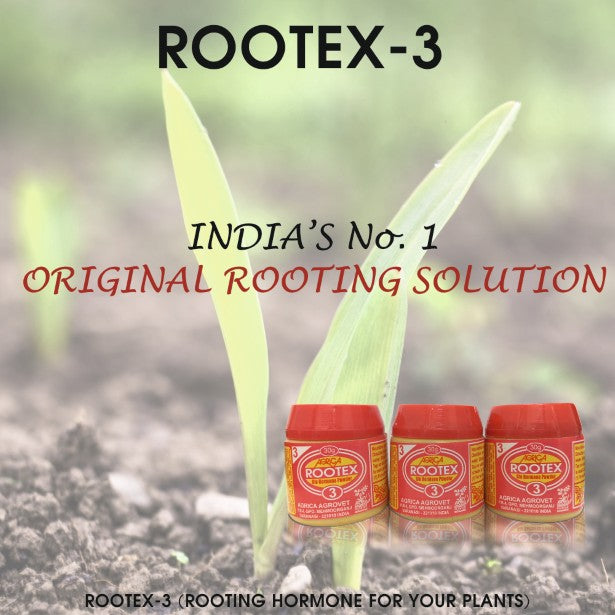 Rootex - 30g