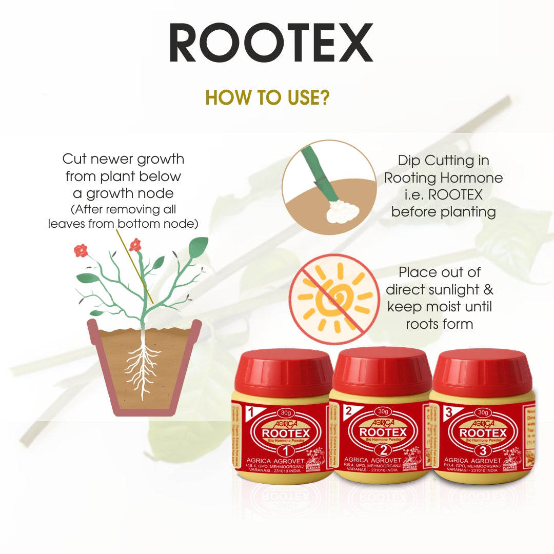 Rootex - 30g