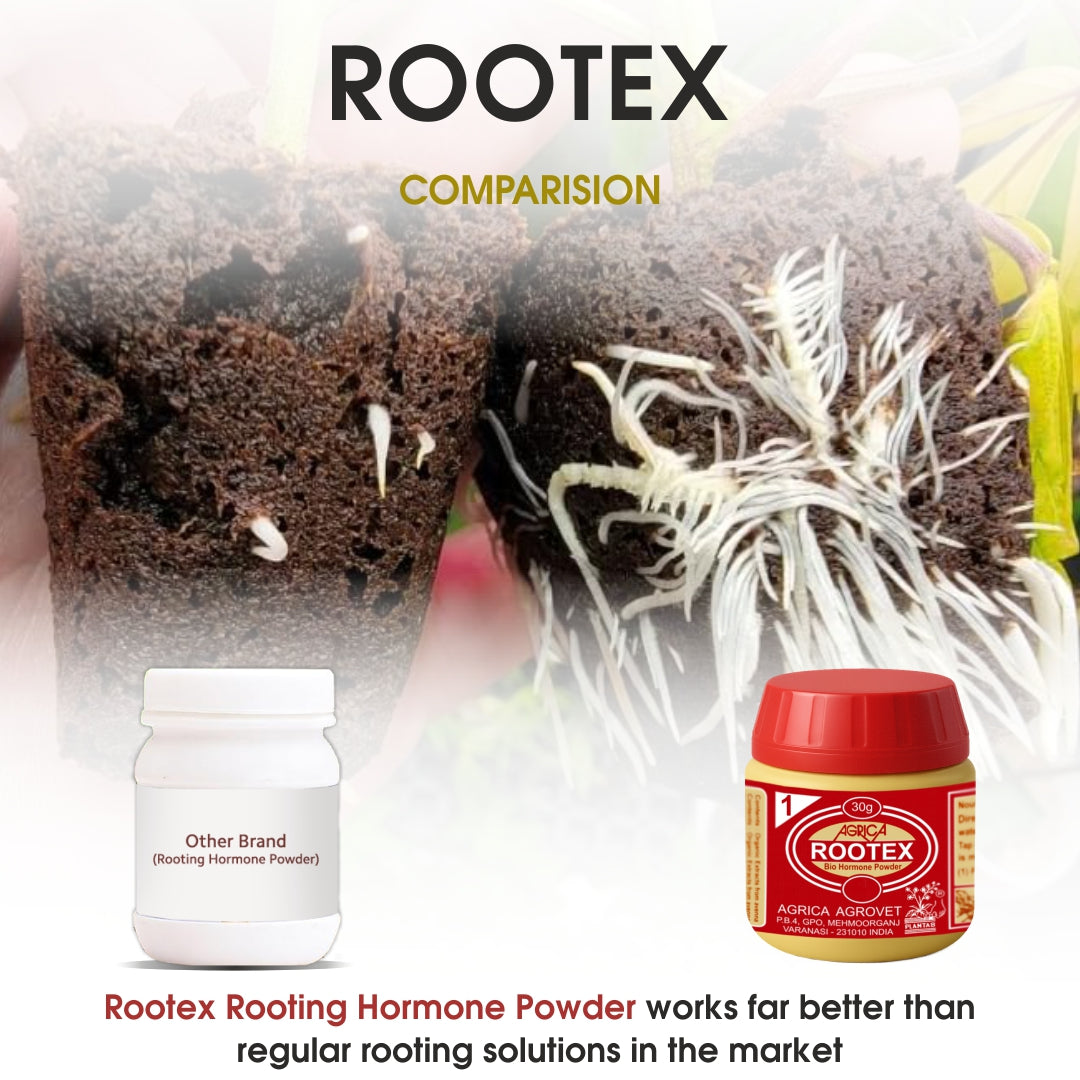 Rootex - 30g