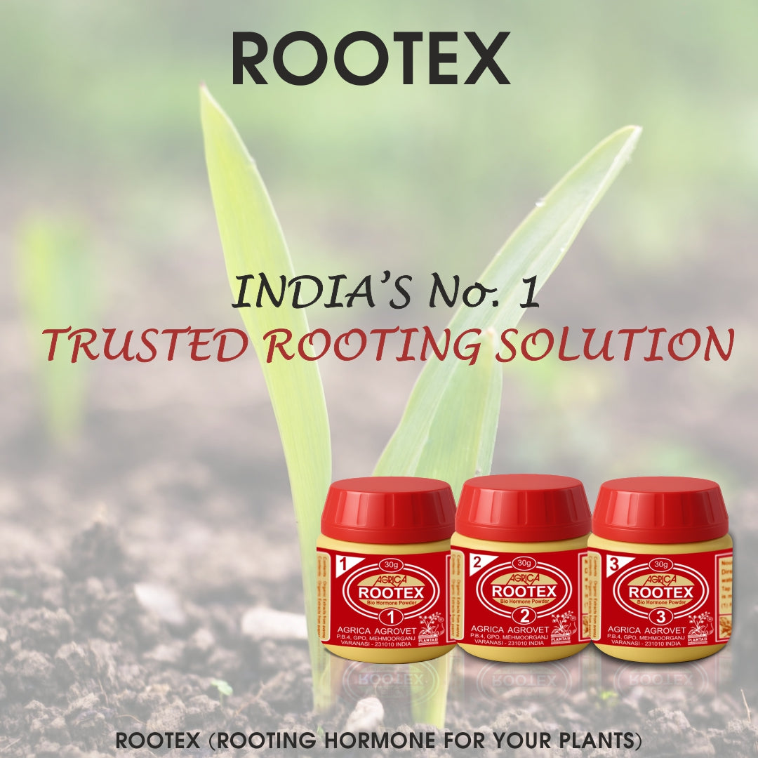 Rootex - 30g