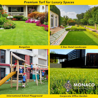 Side-by-side comparison of Monaco vs. other bermudagrass varieties
