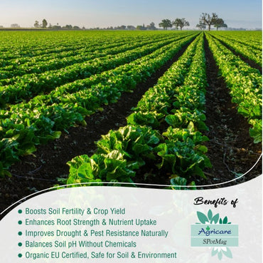 Agricare SPotMag