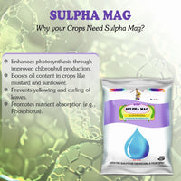 Sulpha Mag