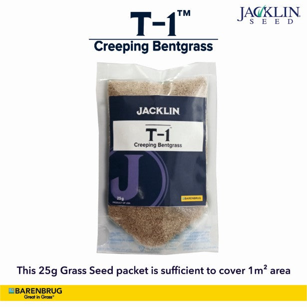 T-1 Creeping Bentgrass This 25g Grass Seed Packet is Sufficient to Covet 1 m² Area
