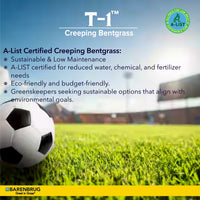 T-1™ Creeping Bentgrass A List Certified Creeping Bentgrass