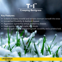 T-1™ Creeping Bentgrass Key Features
