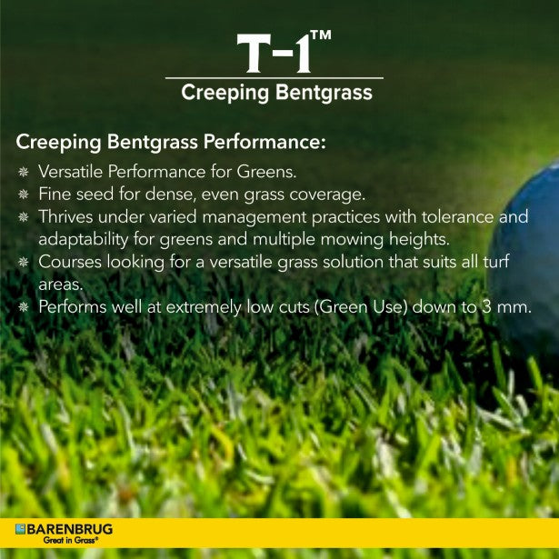 T-1™ Creeping Bentgrass Performance