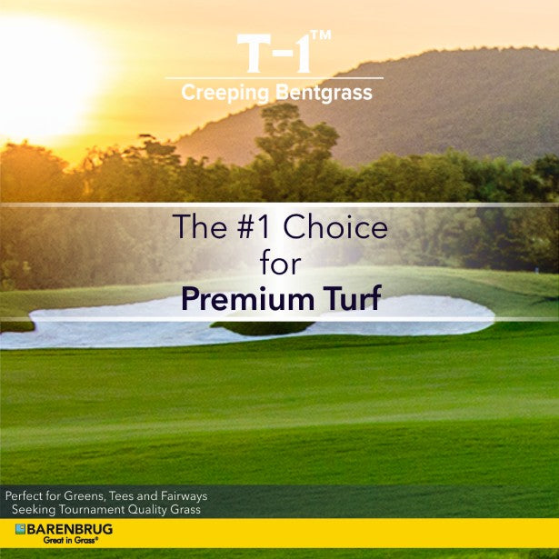 T-1™ Creeping Bentgrass The #1 Choice For Premium Turf
