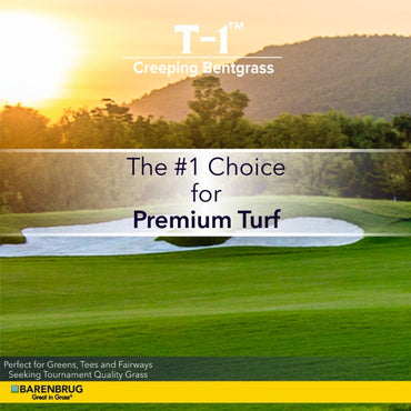 T-1™ Creeping Bentgrass The #1 Choice For Premium Turf