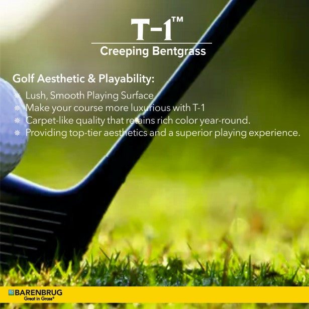 T-1 Creeping Bentgrass Golf Aesthetic & Playbility