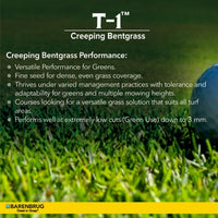 T-1 Creeping Bentgrass