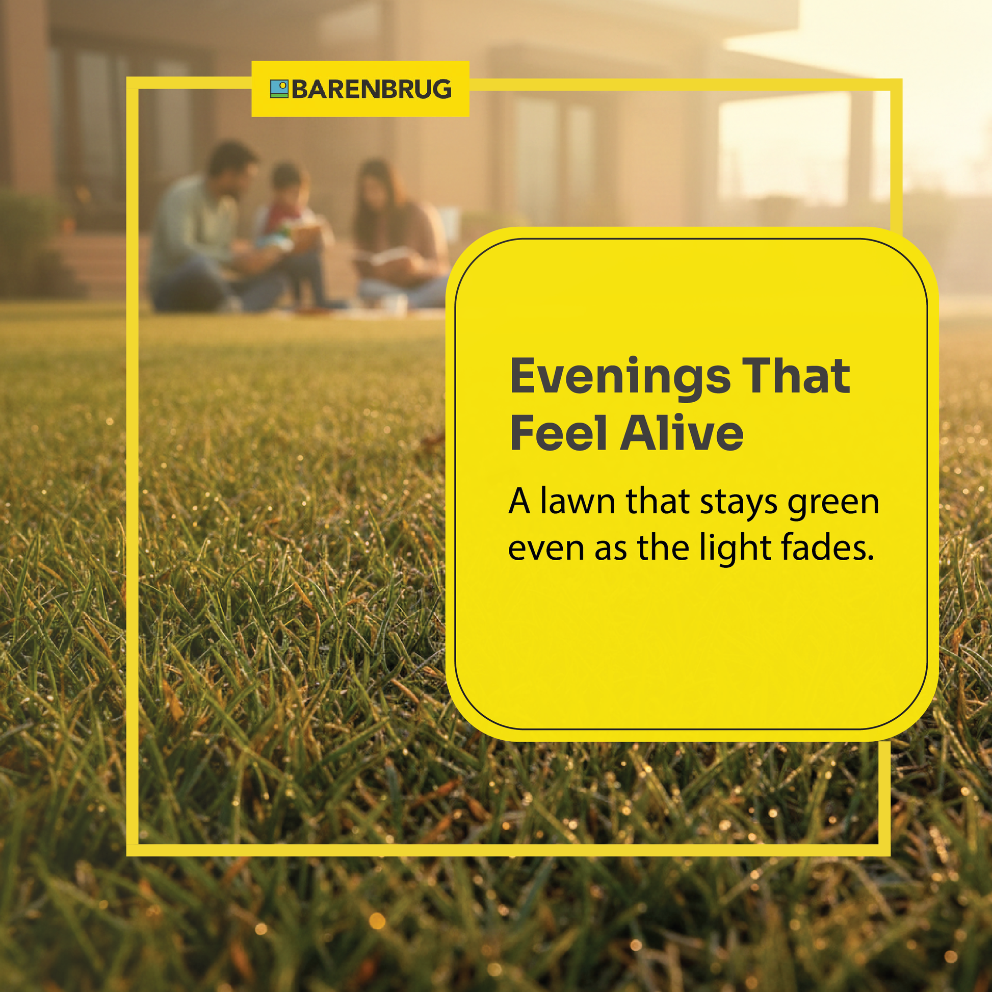 TOP-GUN-ll-Evening-Green-Lawn