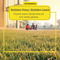 TOP-GUN-ll-Winter-Golden-Lawn