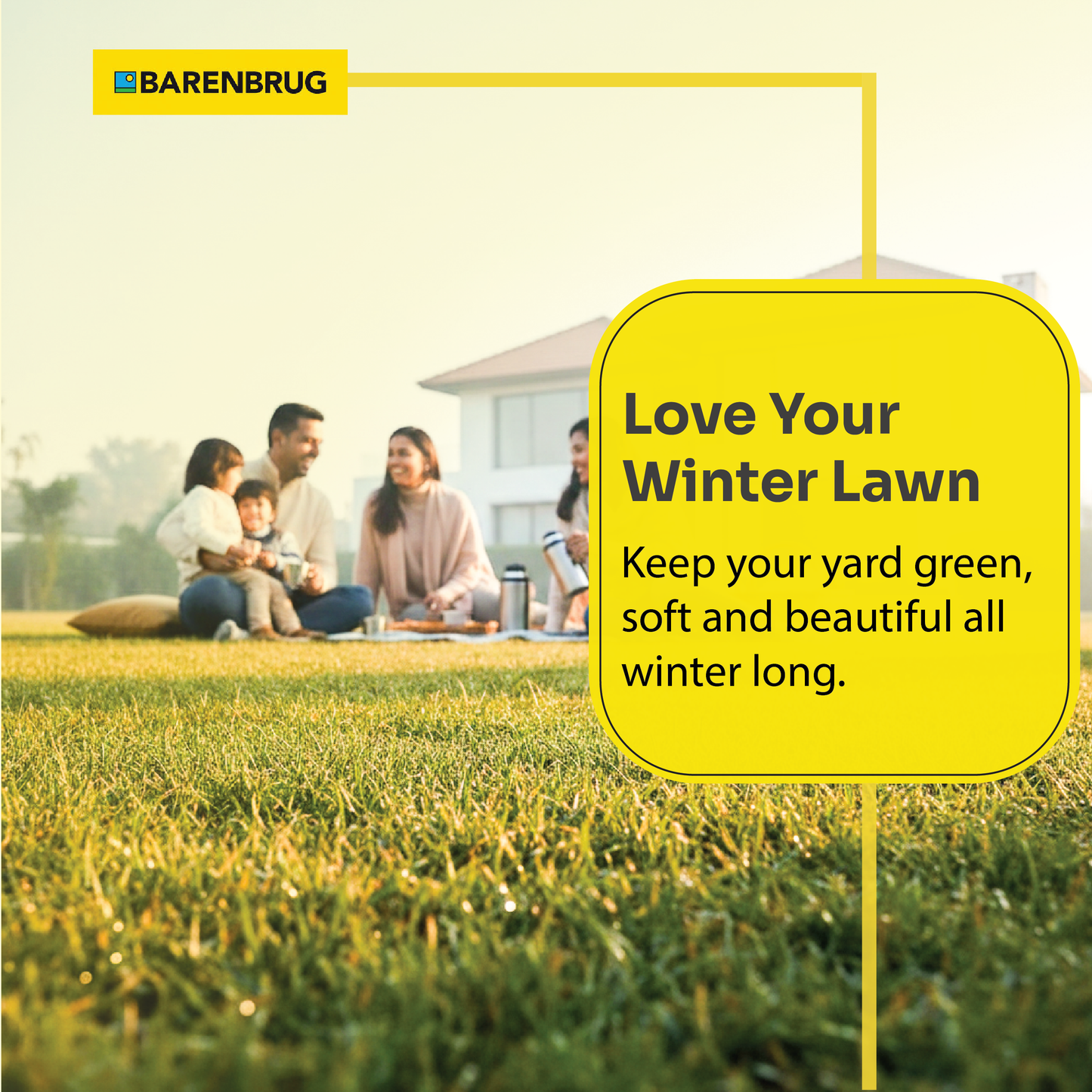 TOP-GUN-ll-Winter-Lawn-Yard